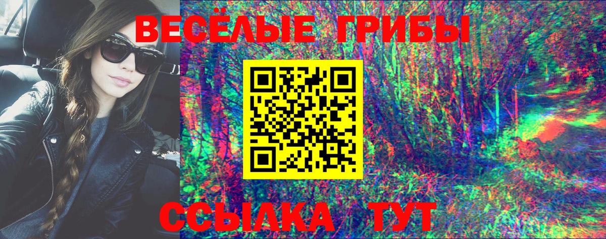 Галлюциногенные грибы Cubensis Выкса